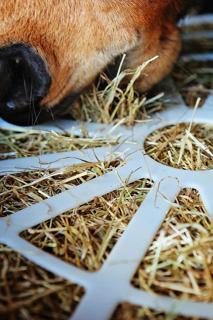 Box of 2 replacement regulators: Easy